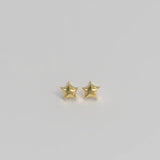 Star Ear Studs Plated