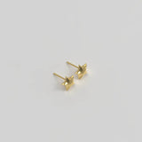 Star Ear Studs Plated